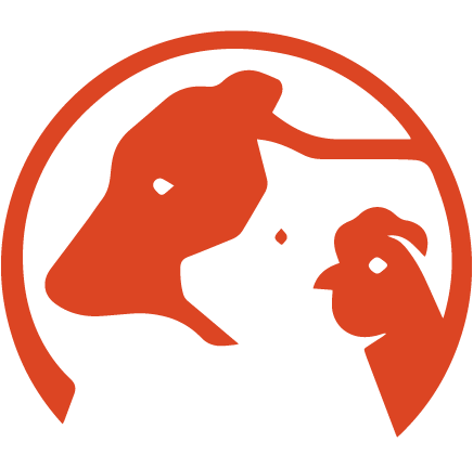 Limba Butchery_436X432-03